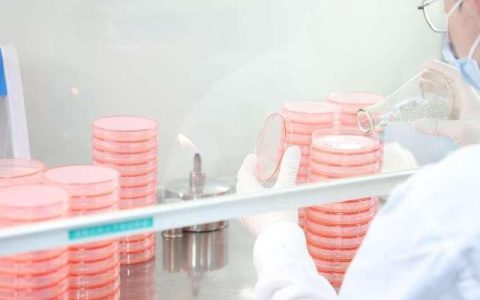 创客中国怎么样，云舟生物科技广州有限公司