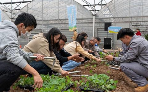 包头职业技术学校(包头职业技术学院中专)
