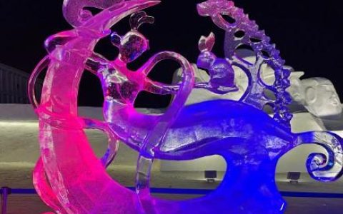 冰雪王国照相怎么样，哈尔滨的冰雪节有多美丽