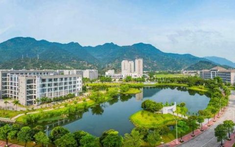 福州大学阳光(福州大学阳光学院分数线)
