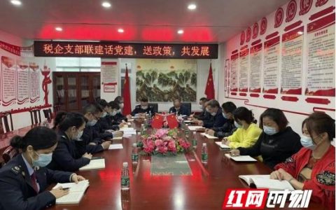 在国企税务专岗怎么样，税务基层支部党建述职报告