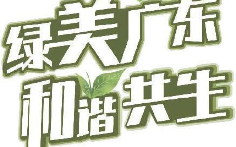 摸到海龟的水会怎么样，我要你陪着我看着那海龟水中游歌词