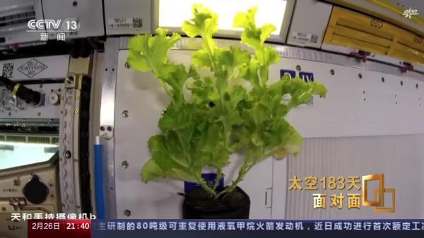 “最忙太空出差三人组”在轨期间忙了些啥？来听他们的分享