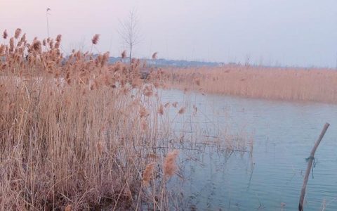两千钓鱼装备怎么样，2000钓鱼能上多大鱼