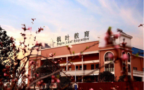 教育机构待遇怎么样，武汉枫叶国际学校 招聘教师的要求严格吗