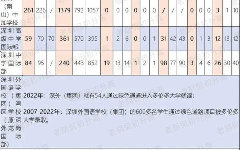 深圳国际学校(深圳国际学校排名一览表)