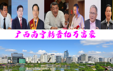 广西丰林集团怎么样，南宁市富豪