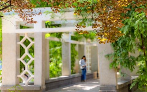 兰州大学继续教育学院(兰州大学继续教育学院)