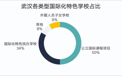 武汉外国语学校国际部(武汉外国语学校国际部中考录取分数线)