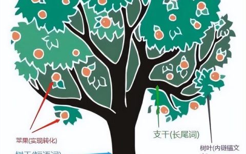 如何利用长尾词优化网站搜索引擎排名