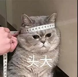 花爸双十一真实“打”榜，母婴系列热销榜单，哪些跟风买会掉坑