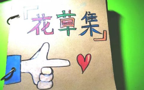 贵州大学选课系统使用指南
