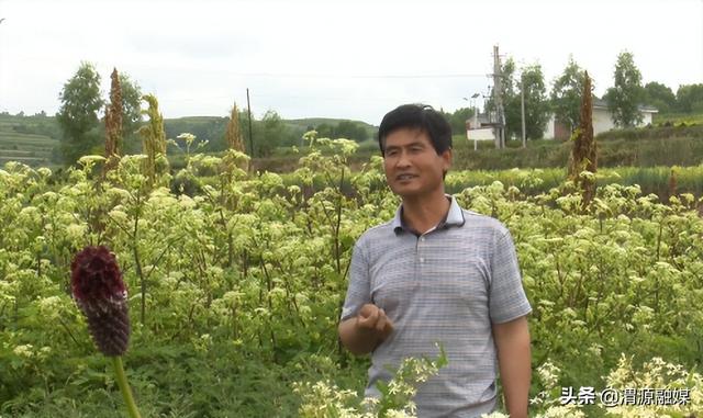 从“野药驯化”到种质溯源 构建道地中药材“中央厨房”?
