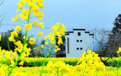 宿州幼师学校(宿州幼师学校32录取分数线)