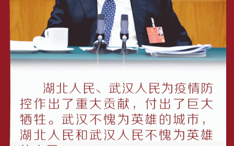 中南海领越怎么样，湖北团拜会2020