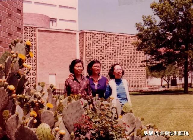 口述历史 | 连利娟：仁心仁术是她从医六十载不变的初心
