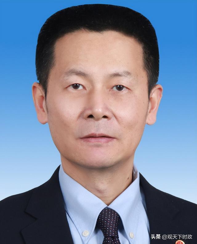 现任中共上海市委员会领导