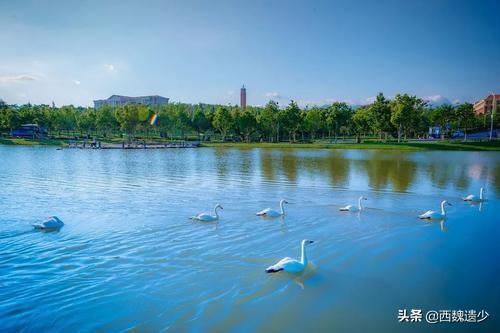 云南大学，一座容易被忽略的最美学府