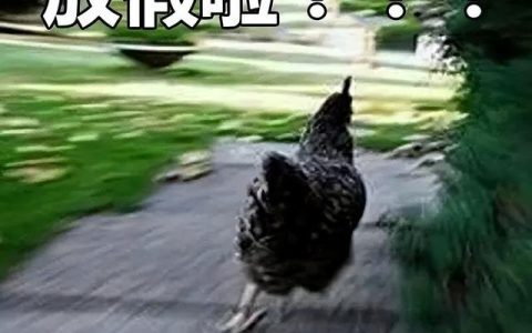 四川职业技术学院分数线(四川职业技术学校2023年录取线)