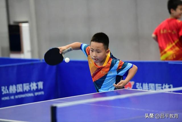 7金7银6铜，昌平区中小学乒乓球成绩再创历史新高！