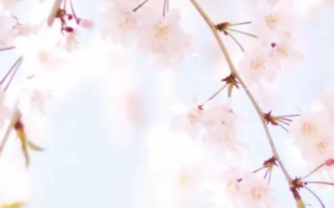 护理学校招生(护理学校招生贵阳)
