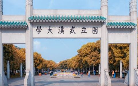 武汉大学分数线(专升本武汉大学分数线)