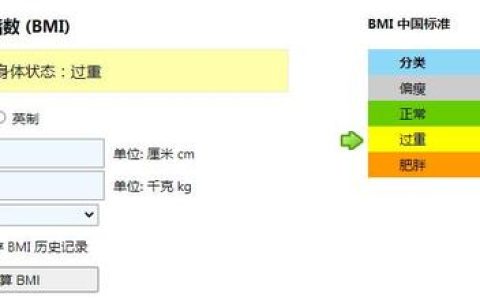 必迈跑鞋怎么样，大体重5公里慢跑鞋推荐