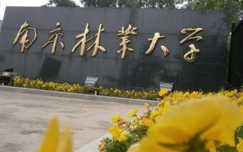 南京林业大学怎么样(南京林业大学怎么样好不好)