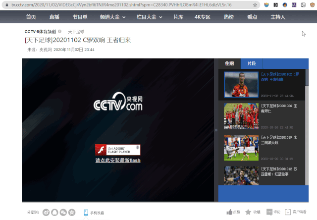 这个中国特供版 Flash，我真的是受够了