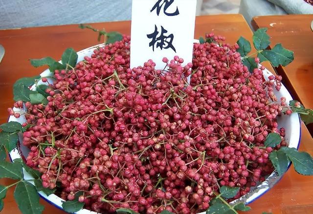 7月又将成熟，新鲜的花椒晒干后70元1斤，却有人拿它喂鸡，咋回事