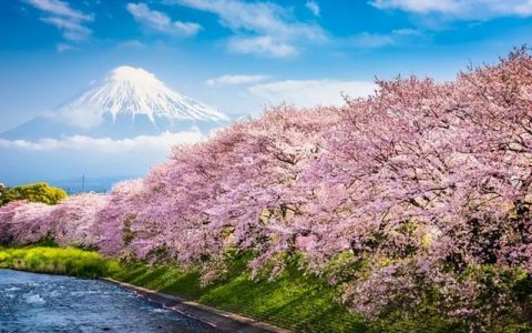 大脚丫怎么样，日本人进屋脱鞋遇到脚臭怎么办