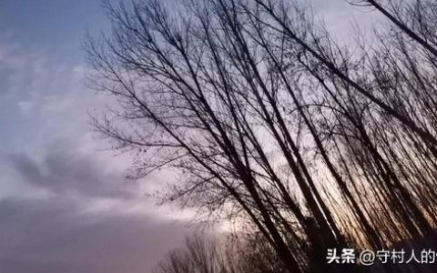 女子儿时玩伴已是守村人（守村人的美好回忆——女子儿时玩伴）