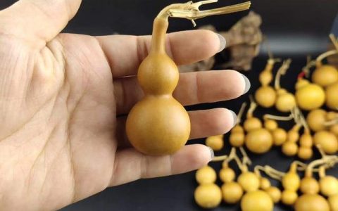 怎么样的葫芦，文玩葫芦怎样挑选