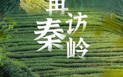 卫士天宝怎么样，102.4秦岭