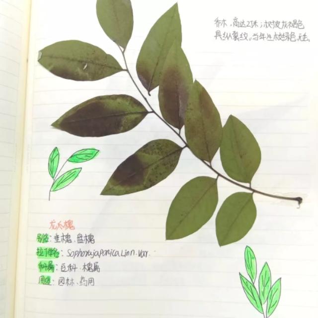 一分钟内，我要这门课的全部信息