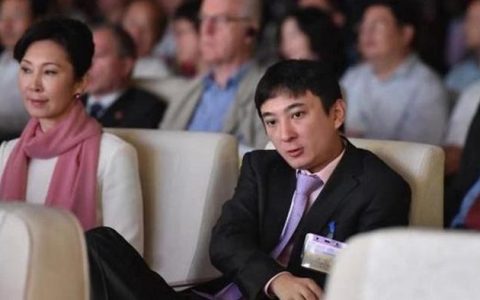 南京的财富公司怎么样，王思聪破产老妈掏钱