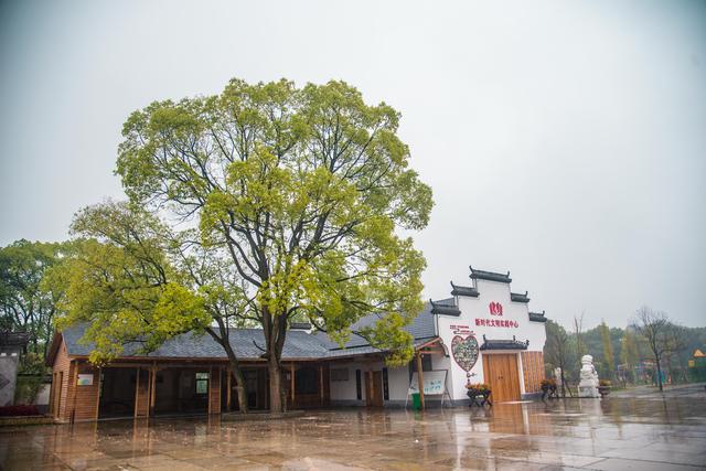 走进东湖邓家，看秀美乡村