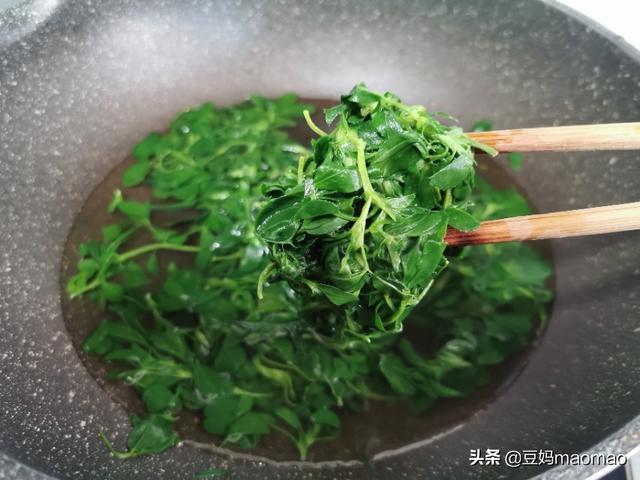 野菜苜蓿的两种吃法，忆苦思甜，致敬最美劳动者
