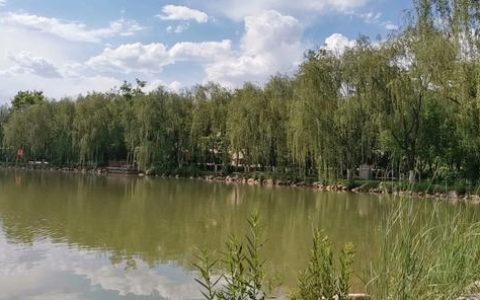 北方名族大学(北方名族大学)