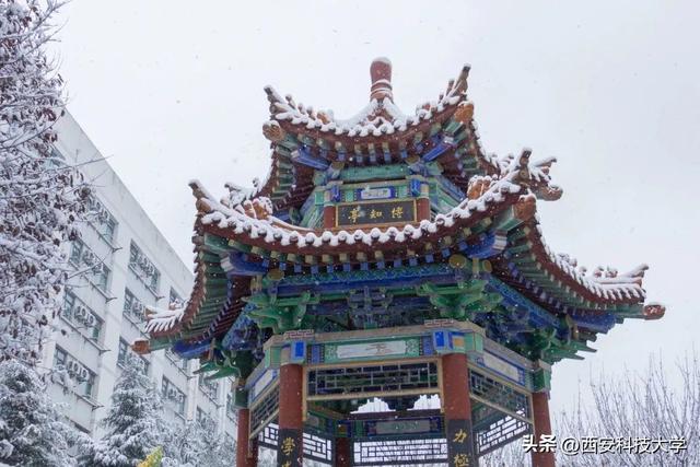 为梦想而战！西科与你一“研”为定