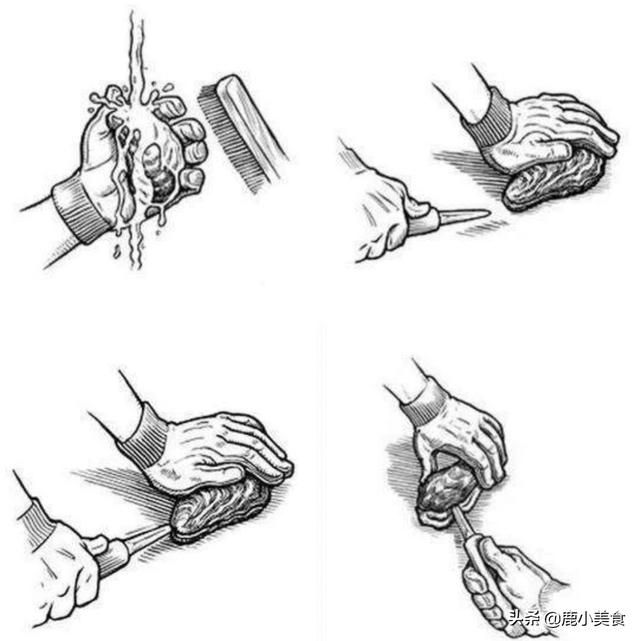 春季，“海中牛奶”正肥美，鲜嫩多汁，营养丰富，孩子常吃长高快
