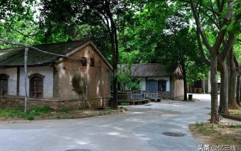 上海机芯怎么样，陕西秦岭仪表厂