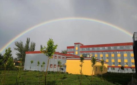 什么是本科提前批(什么是本科提前批次录取)