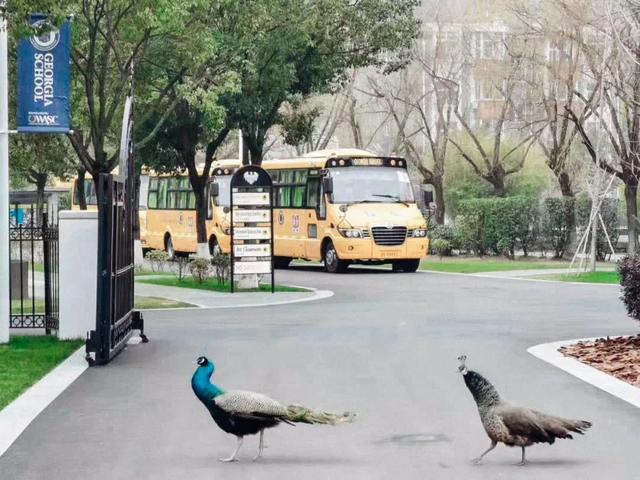 校园美景 |满园芬芳知秋来，至诚校园秋景大赏来啦
