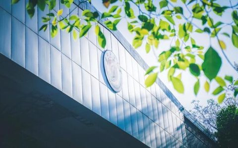 西南石油大学2019录取分数线(西南石油大学2021录取分数线是多少)
